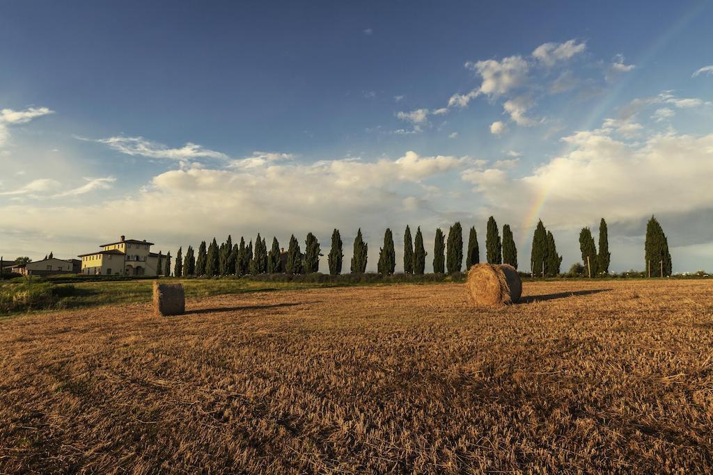 Casale Podernovo Terricciola ภายนอก รูปภาพ