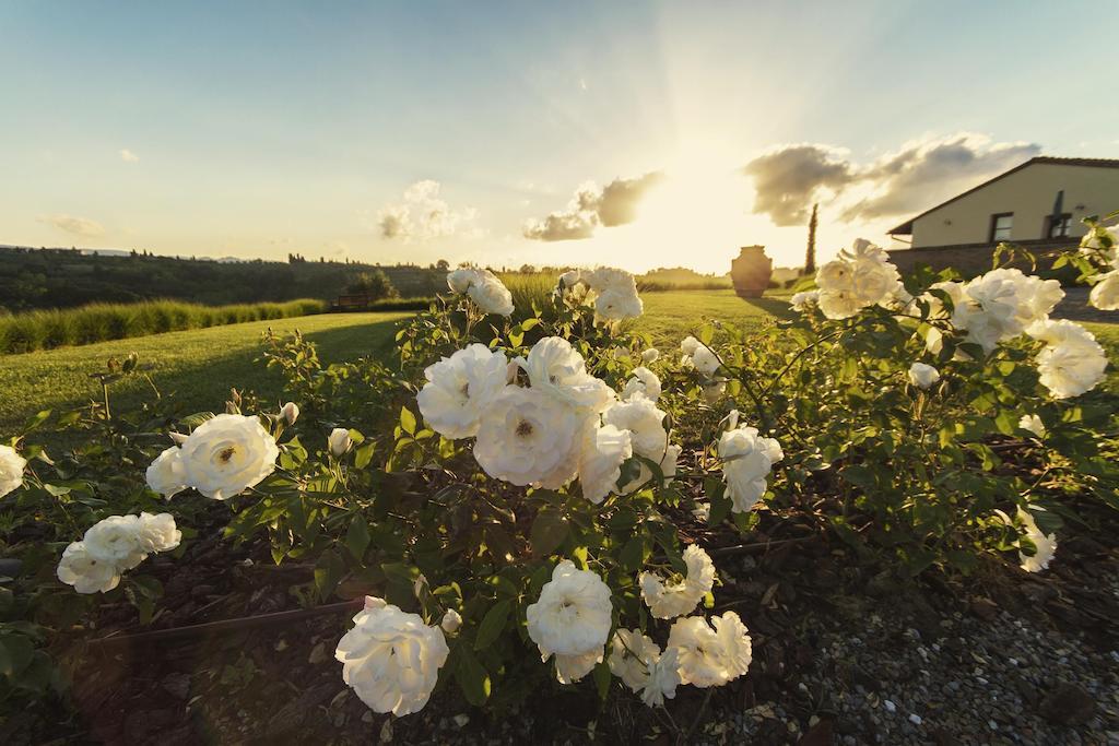 Casale Podernovo Terricciola ภายนอก รูปภาพ